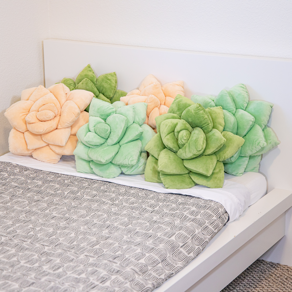 Lil' Pop Succulent®  - Olive Green