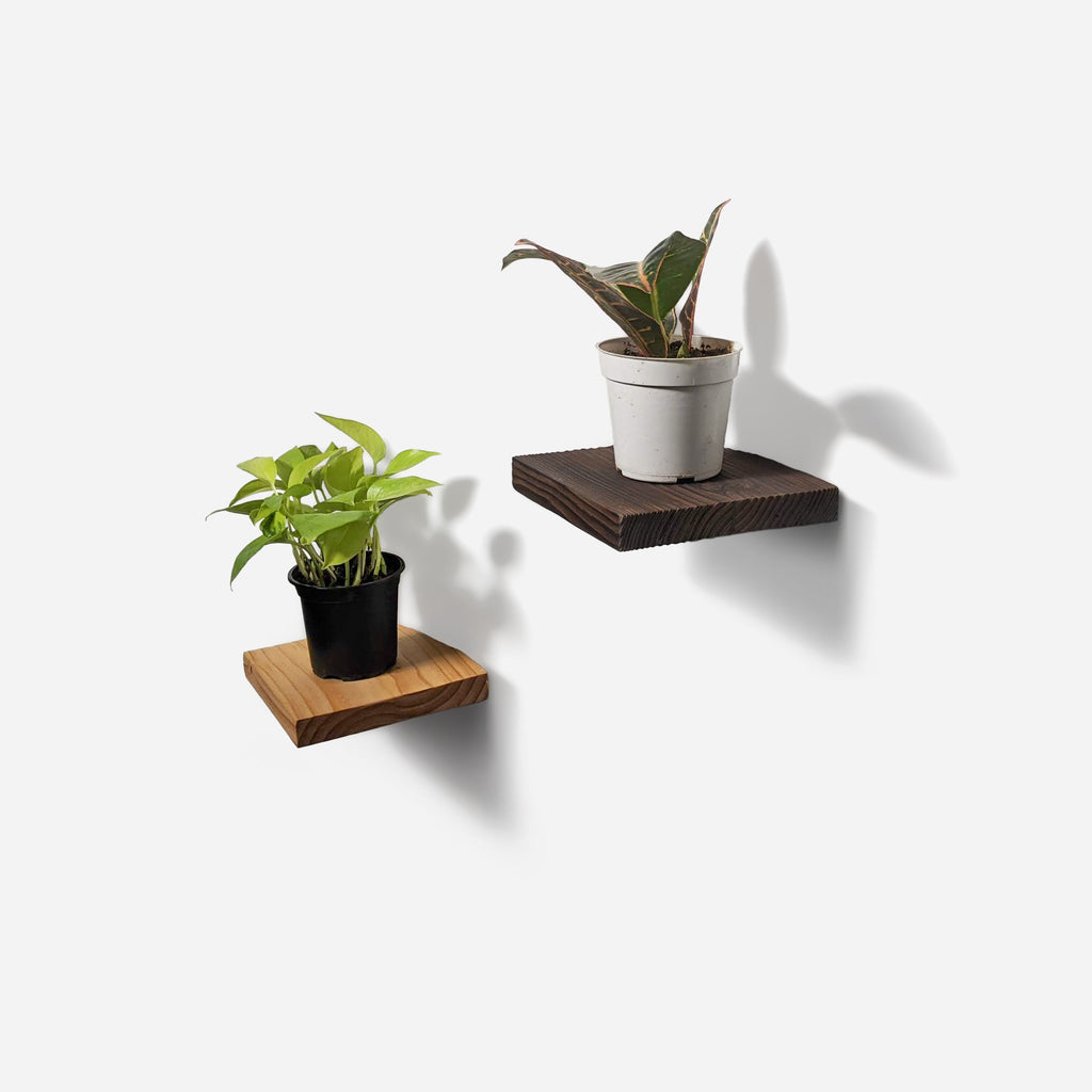 Chopped plant shelf