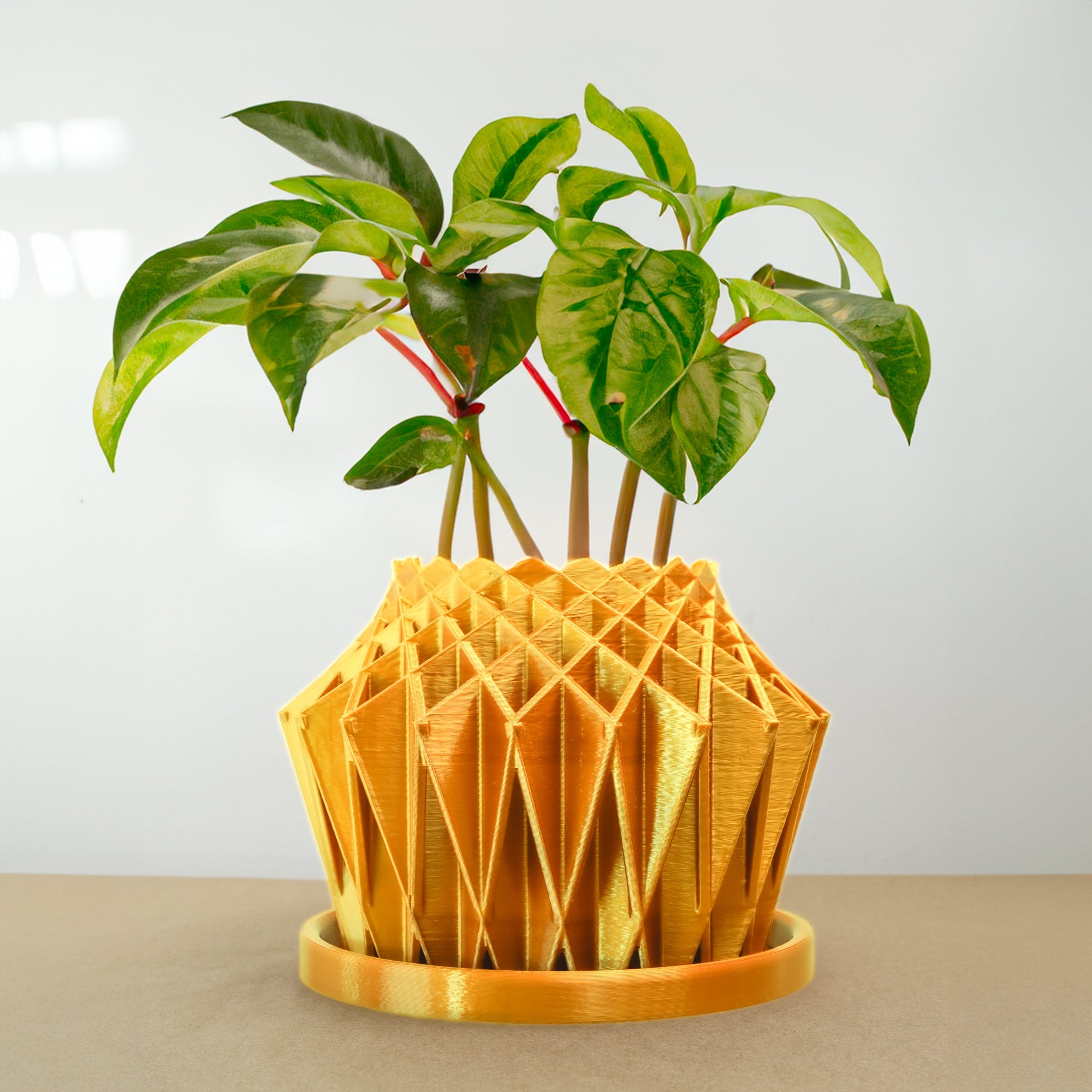 Galaxy Groove Plant Pot