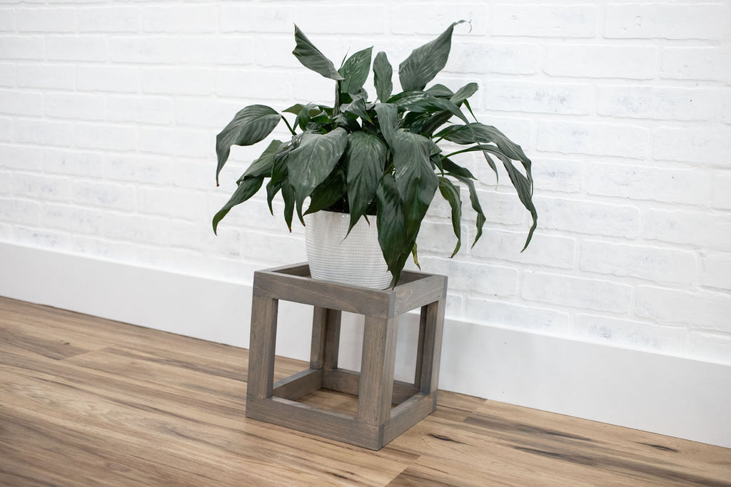 Cube Plant Stand
