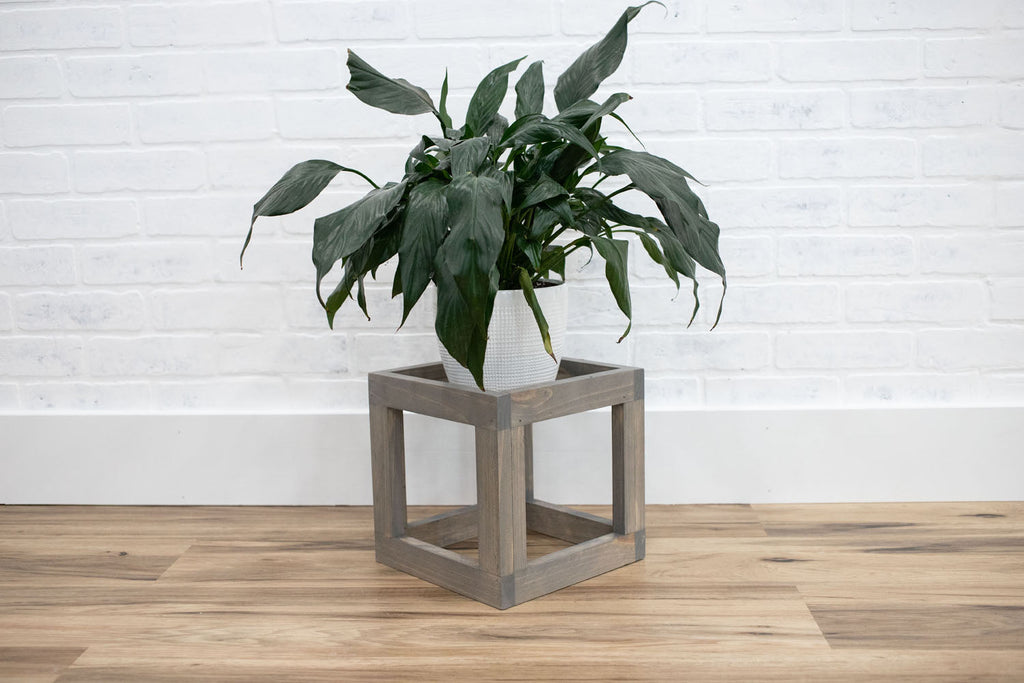 Cube Plant Stand