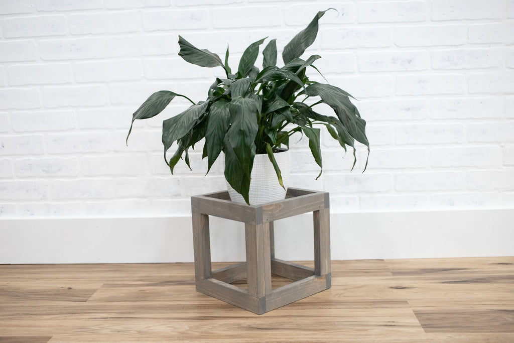 Cube Plant Stand