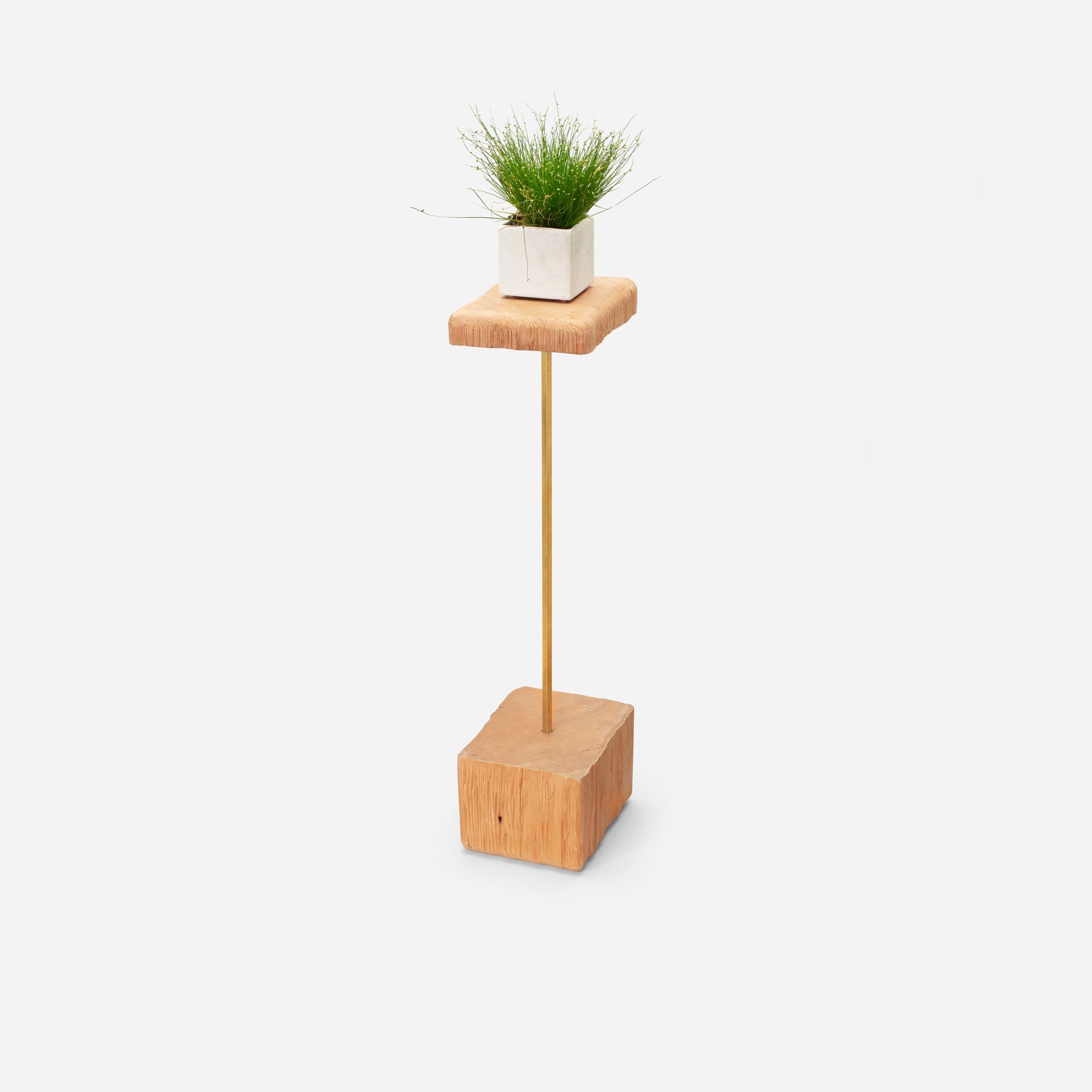 Stem plant holder