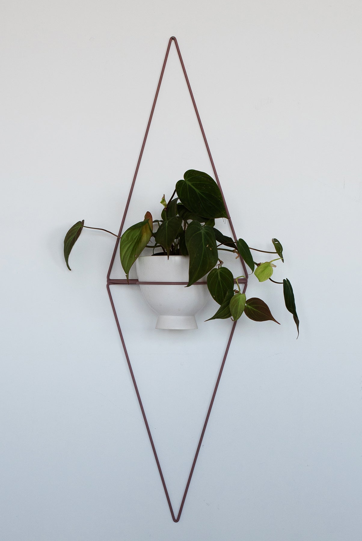 Diamond Eye Wall Planter