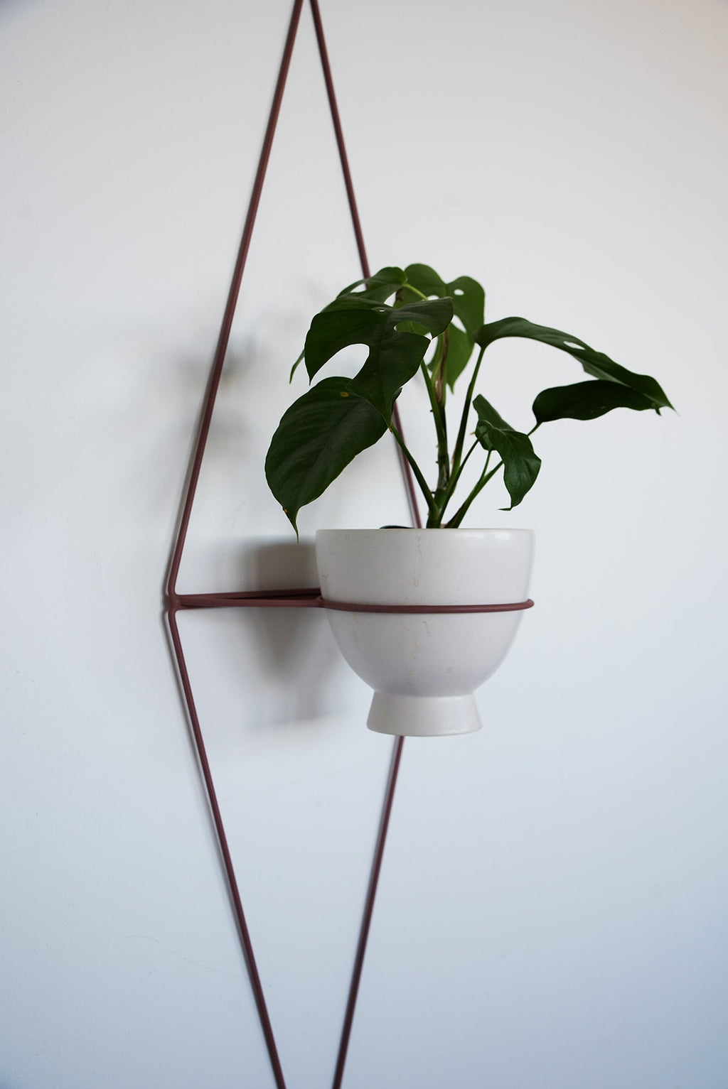 Diamond Eye Wall Planter