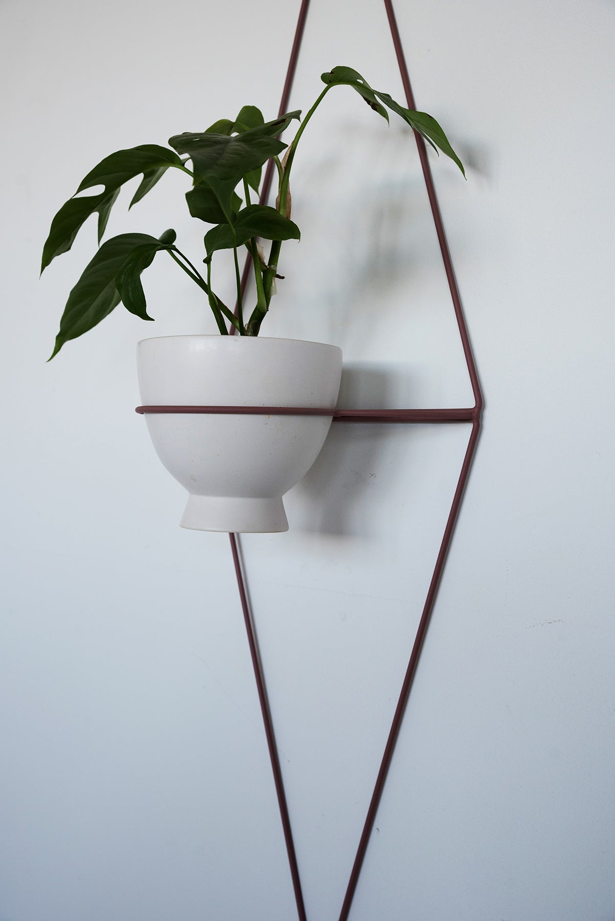 Diamond Eye Wall Planter