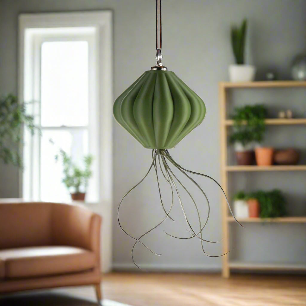 MAGNETIC Air Planter, JellyFish, Air Plant Included